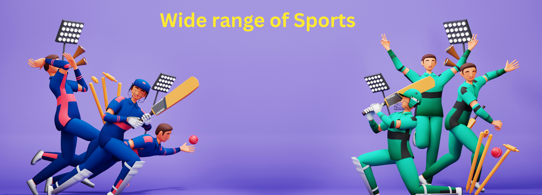 Wide range of Sports (1)
